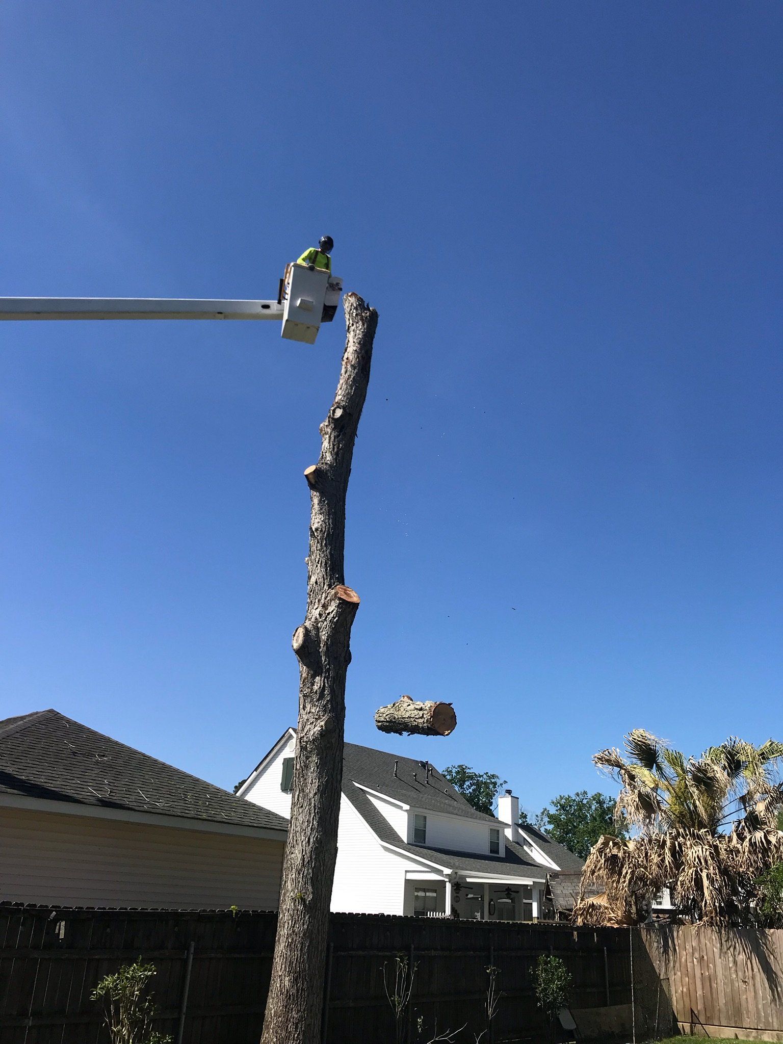 A man in a bucket is cutting a tree in front of a house