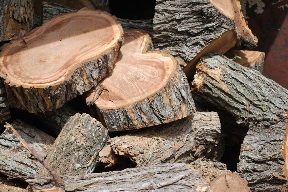 A pile of logs that have been cut in half