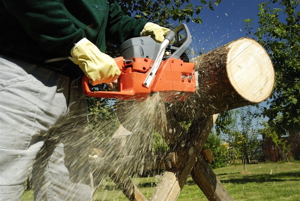 A person is using a chainsaw to cut a log