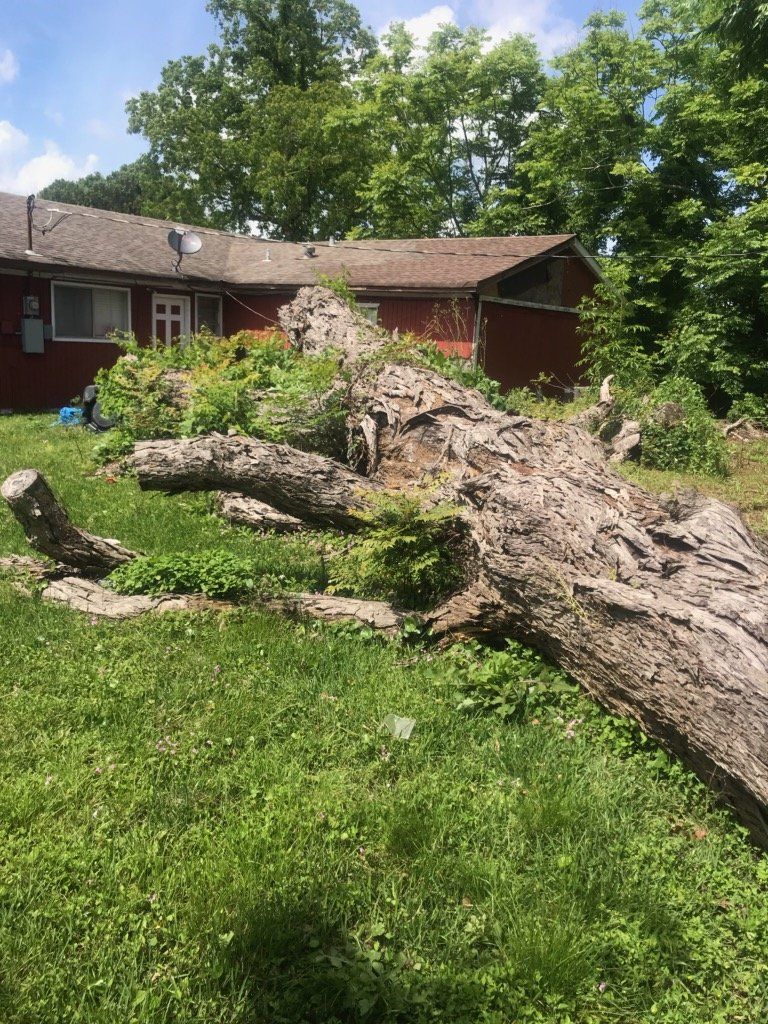 A large log is laying in the grass in front of a house