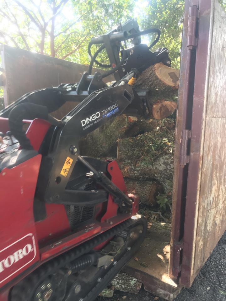 A toro tractor is carrying a pile of logs