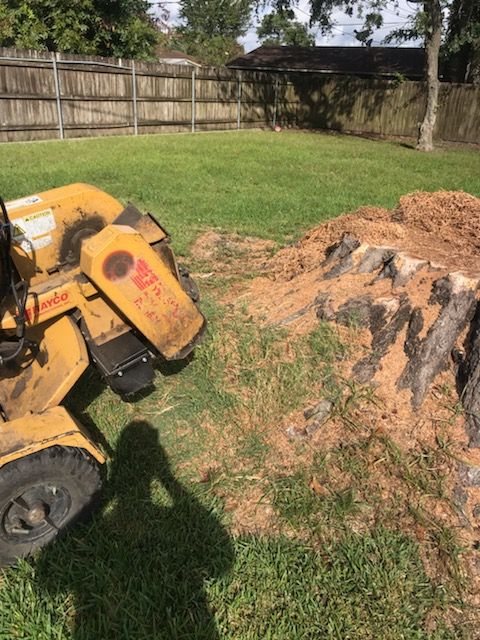 A stump grinder is sitting in the grass next to a tree stump.