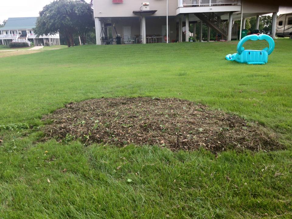 A blue crocodile is sitting in the grass in front of a house