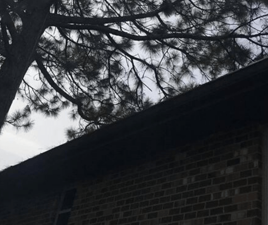 A brick building with a tree in the background Tree Service Metairie LA