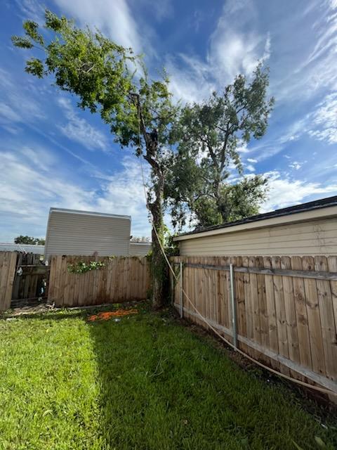 A tree is growing in the backyard of a house next to a wooden fence.