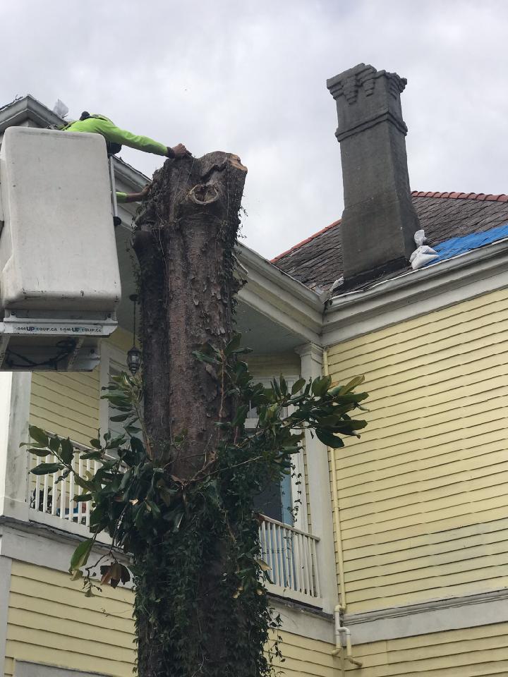 A man in a bucket is cutting a tree in front of a house