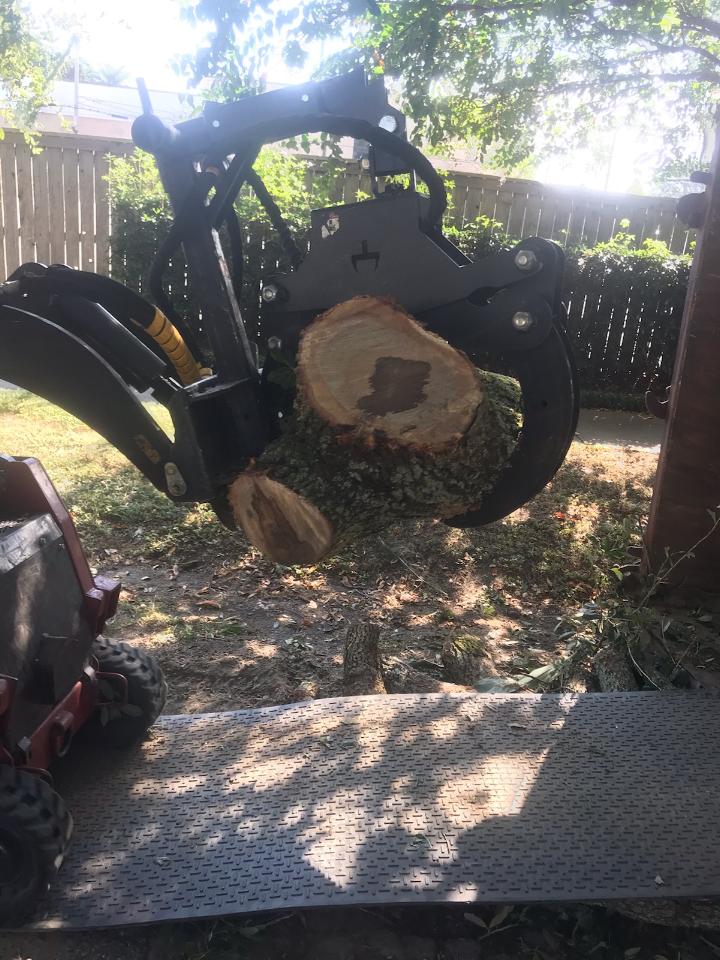 A large piece of wood is being lifted by a machine. Tree Service Metairie LA
