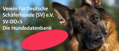 https://www.schaeferhunde.de/