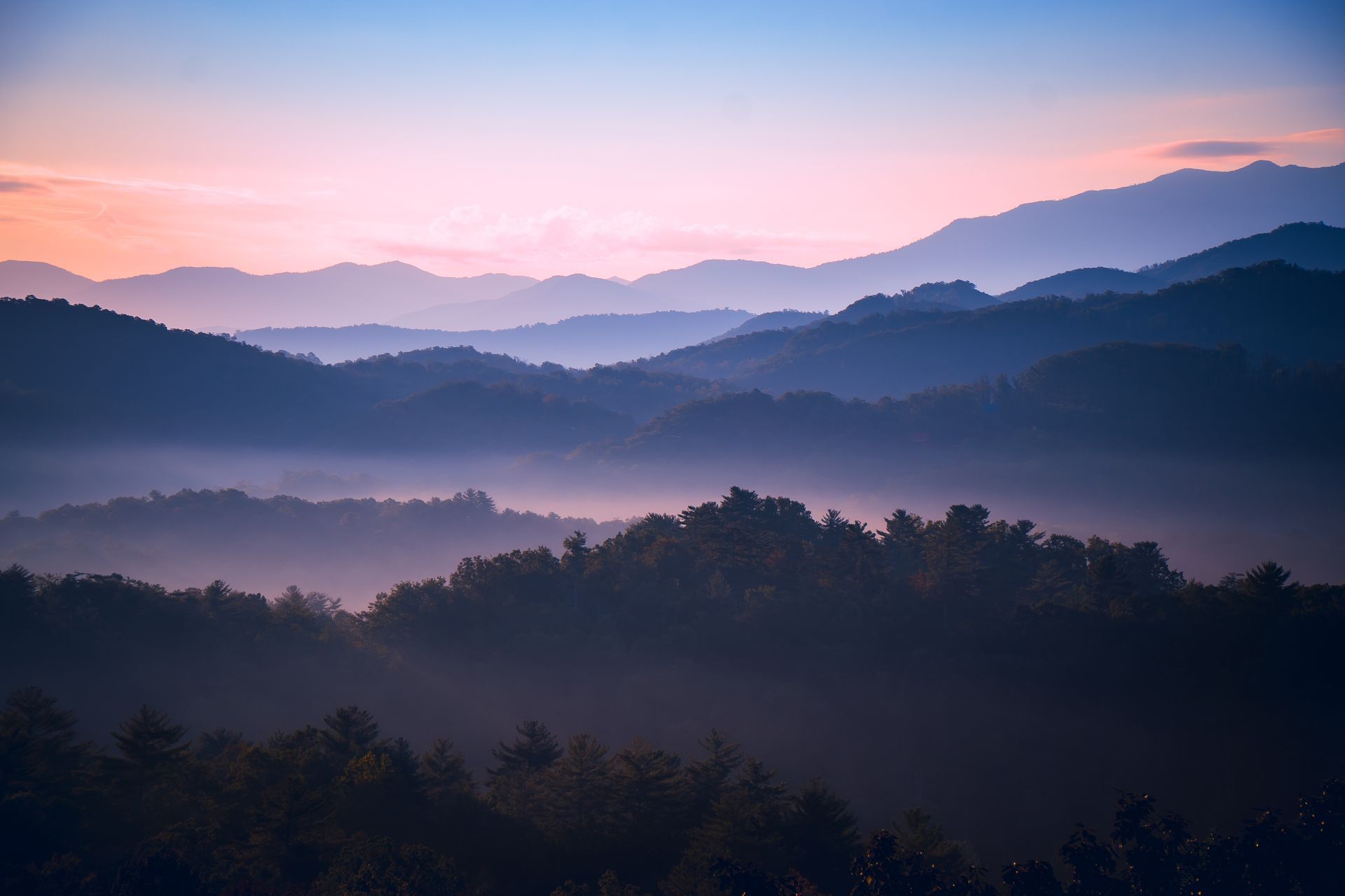 A sunset over a foggy mountain range with trees in the foreground.