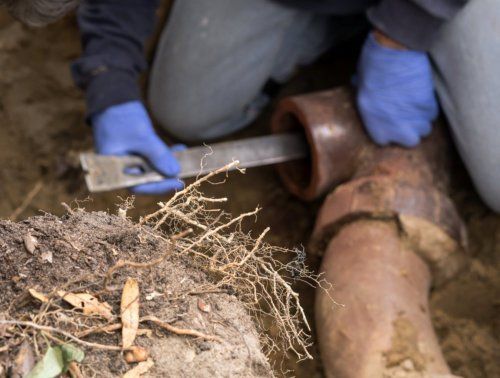 Sewer Line Problems — Kansas City, MO — Affordable Plumbing & Sewer