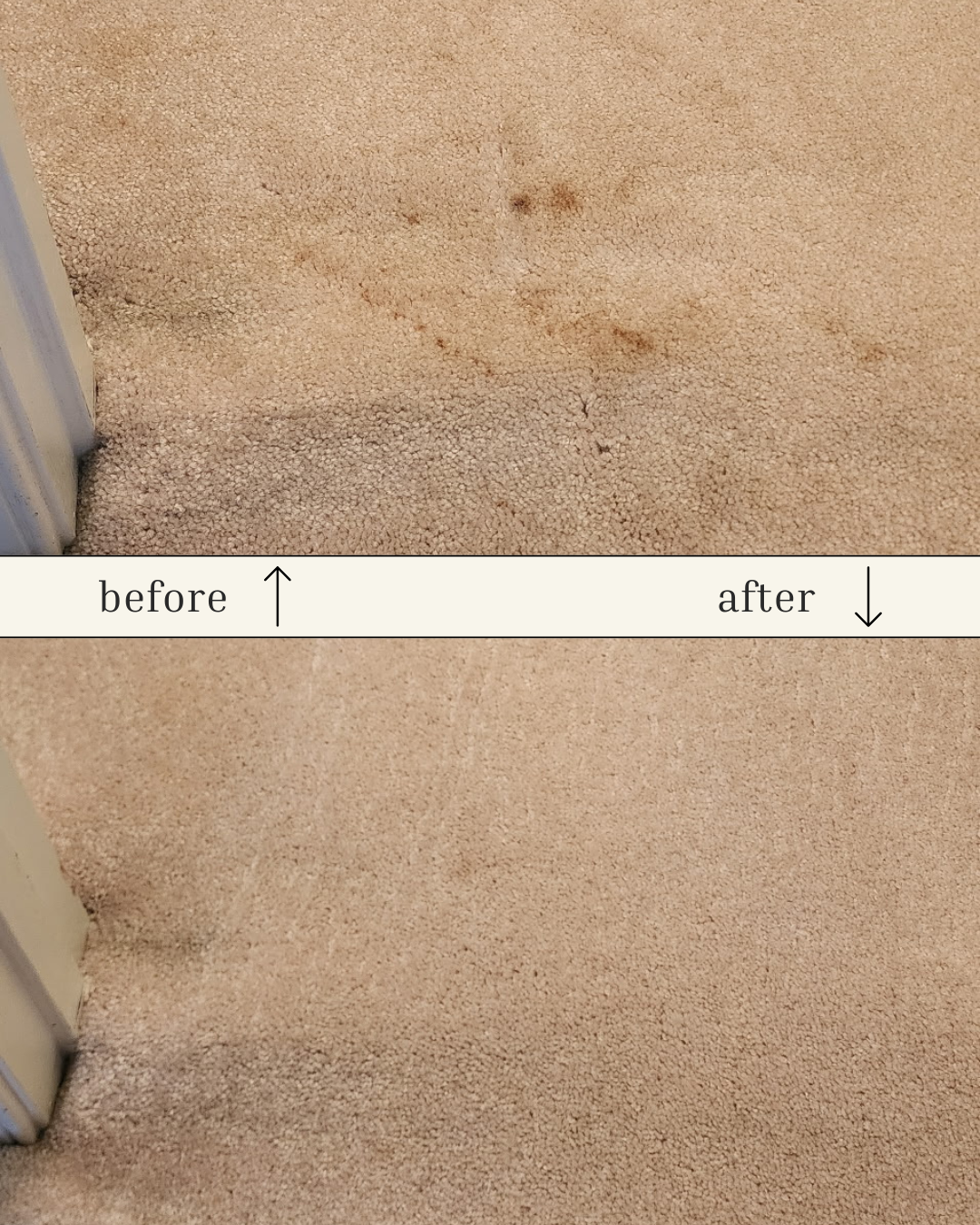 Before and after comparison of a beige carpet, showing removal of brown stains.