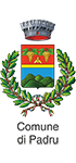 Logo Padru