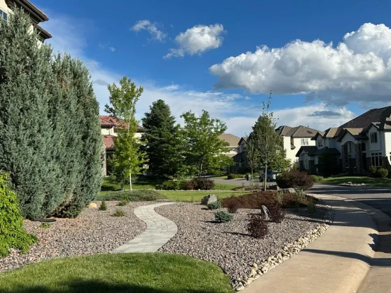 A walkway leading to a house in a residential neighborhood