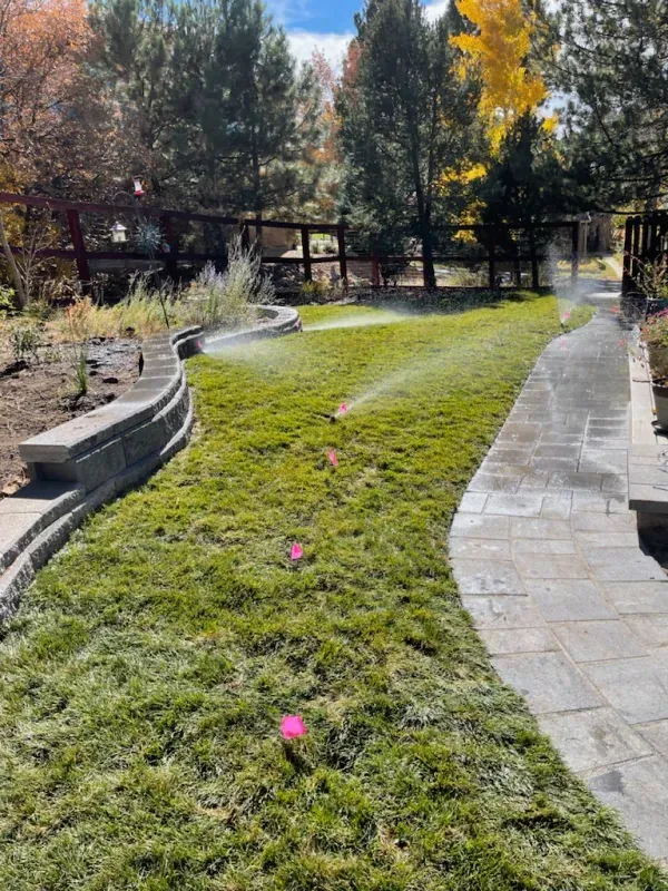 A sprinkler is spraying water on a lush green lawn.
