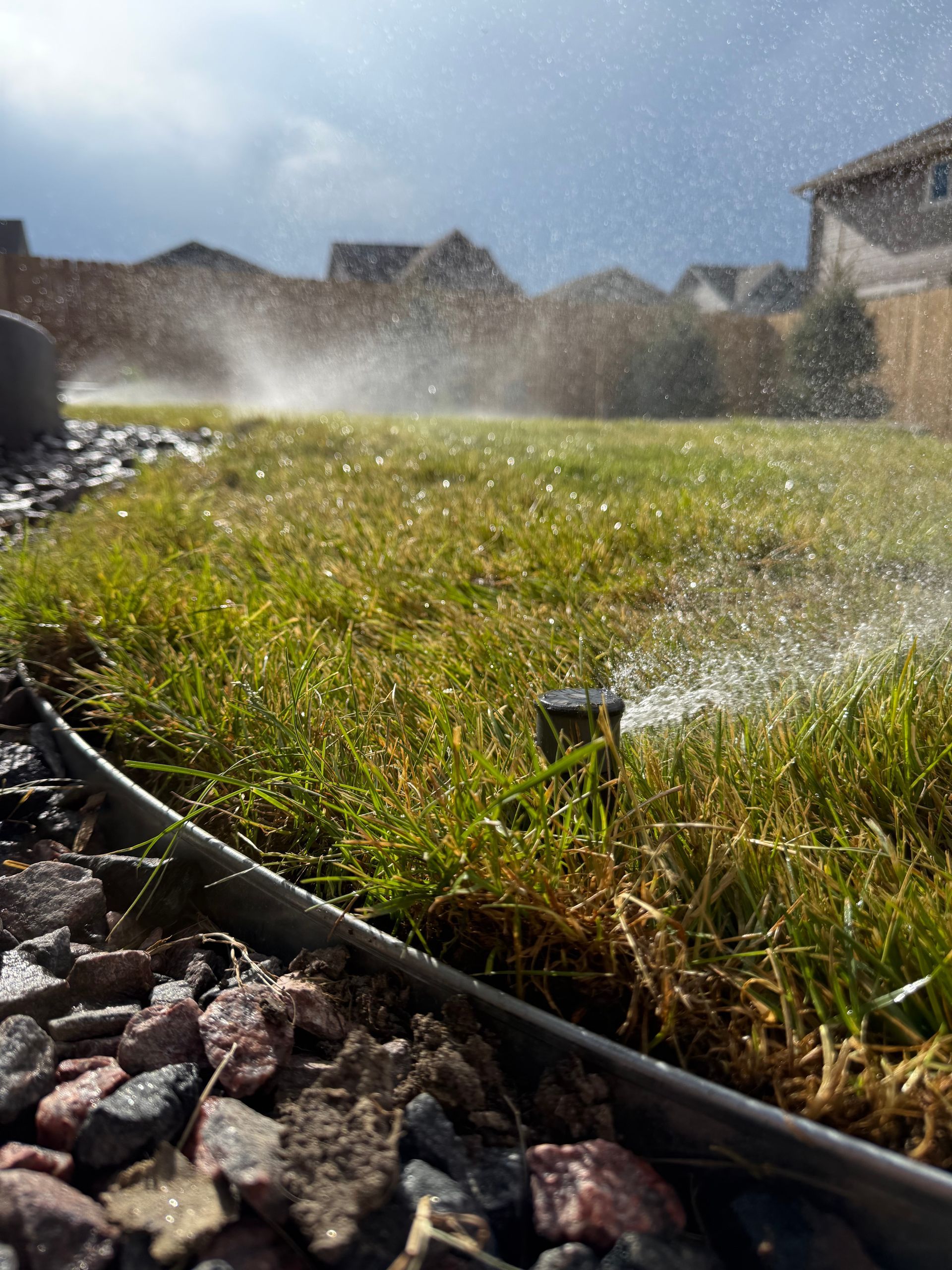 A sprinkler is spraying water on a lush green lawn.