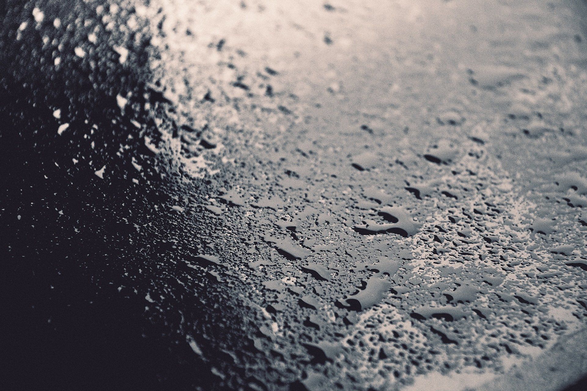 damp proofing somerset and devon