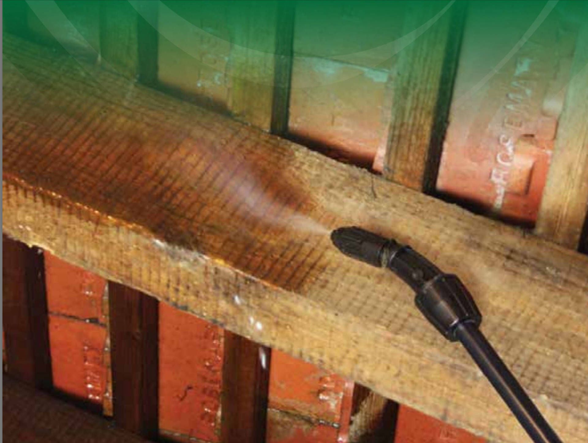 woodworm treatment somerset