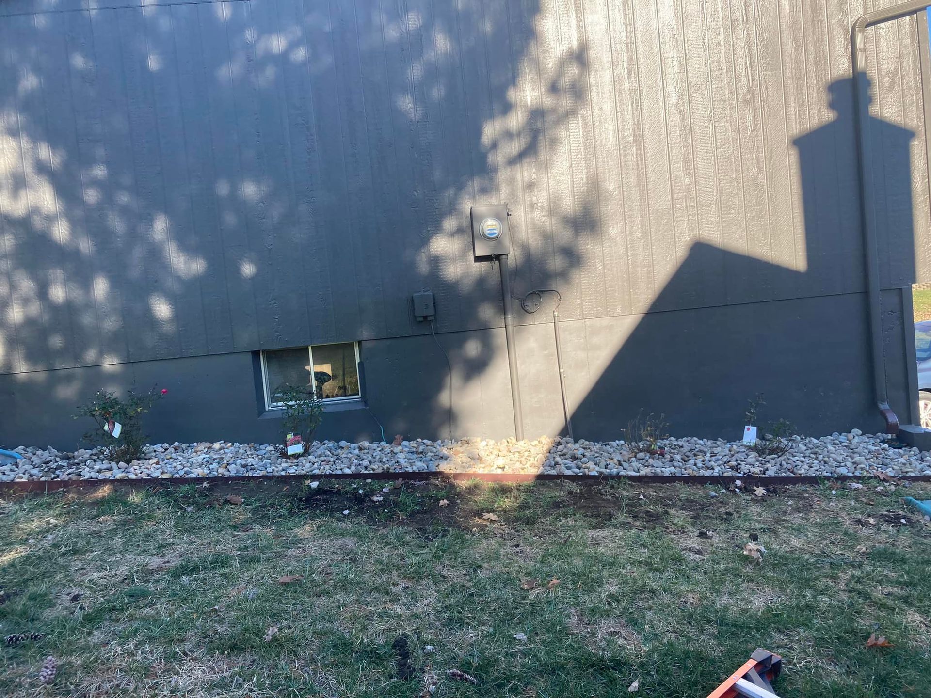 A shadow of a tree is cast on the side of a building.