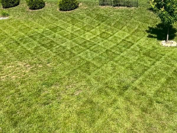An aerial view of a lush green lawn with a diagonal pattern.