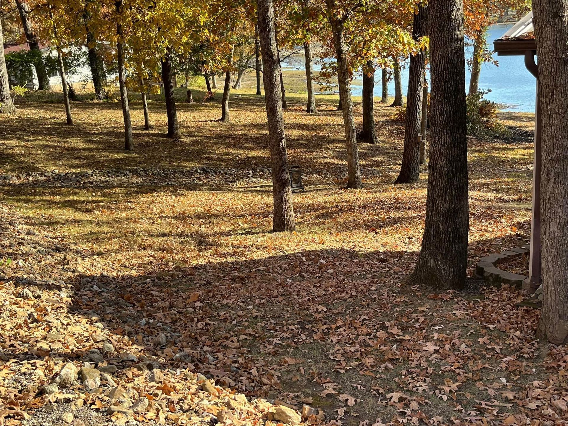 A park with trees and leaves on the ground and a lake in the background.