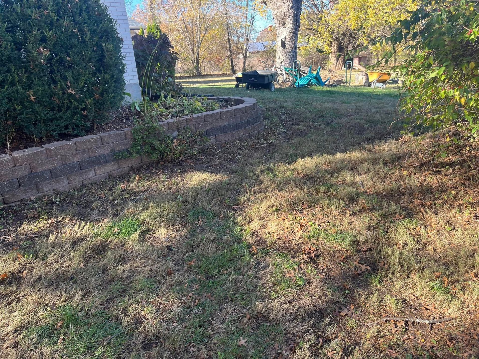 A lawn with a brick wall and bushes in the background.