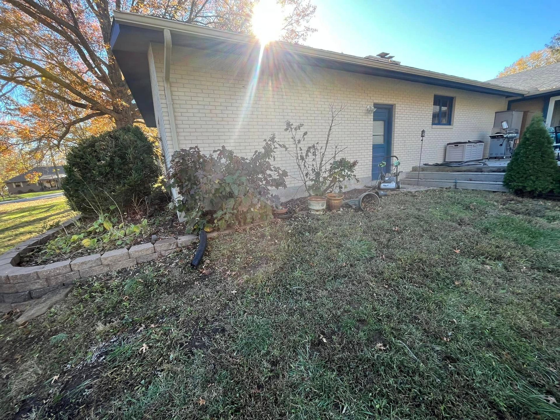 The sun is shining through the trees in the backyard of a house.