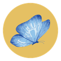 Blue butterfly against a yellow background.