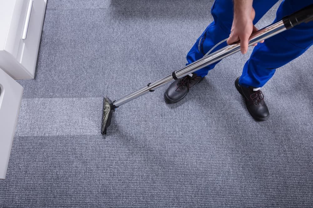 Worker Vacuuming Carpet — Professional Cleaning Company in Pialba, QLD