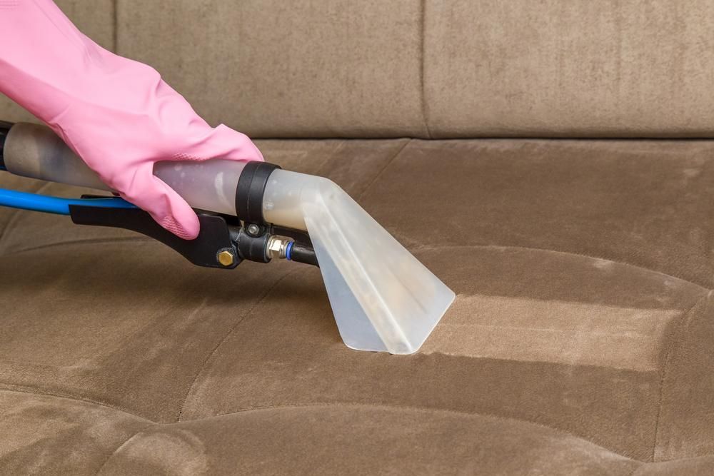 A Person Is Cleaning a Couch — Professional Cleaning Company in Burrum Heads, QLD