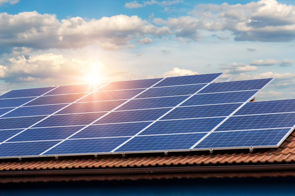 Washing Solar Panel — Professional Cleaning Company in Pialba, QLD