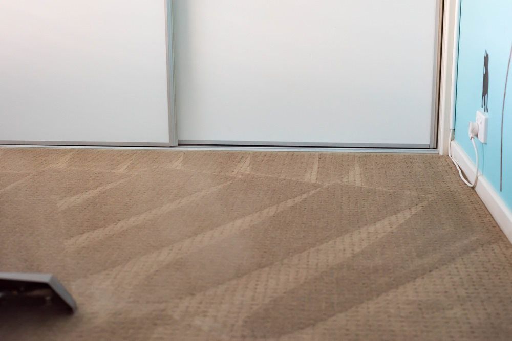 Vacuuming Carpet — Professional Cleaning Company in Pialba, QLD