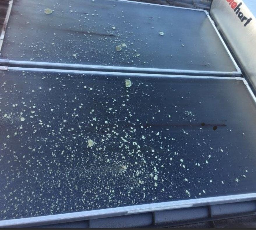 Dirty Solar Panel — Professional Cleaning Company in Pialba, QLD