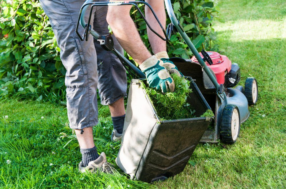 Garden Tools — Professional Cleaning Company in Pialba, QLD