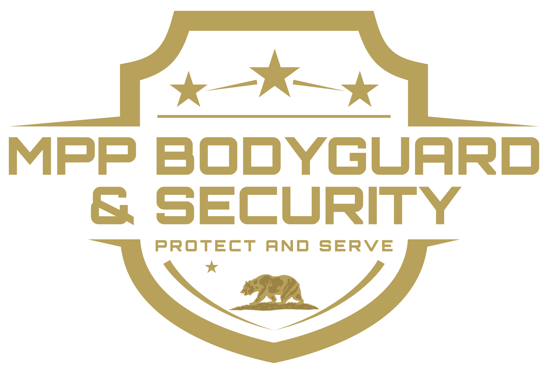 Professional Security Guards San Diego Ca Mpp Bodyguard Security