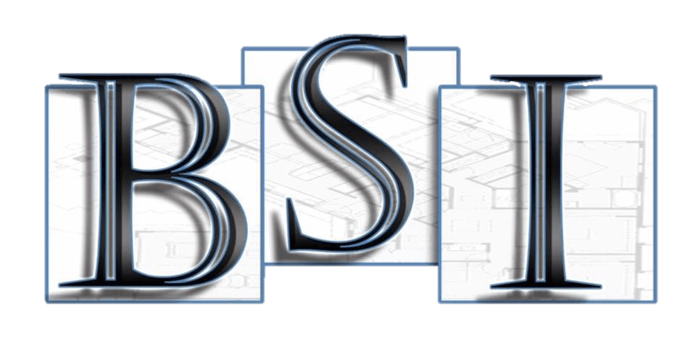 BSI logo with dark metallic letters on light squares; 