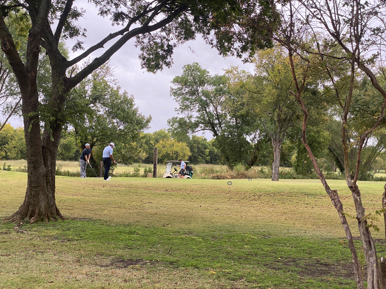 Golfers on a green fairway under a cloudy sky, trees in the foreground, golf cart in the distance.