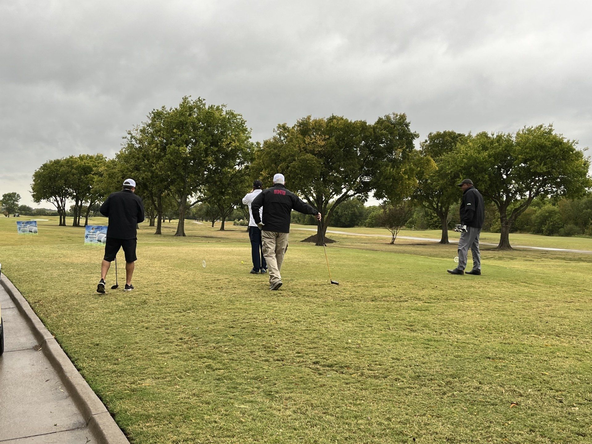 People playing croquet on a green lawn with trees in the background under an overcast sky.