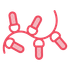 A string of pink christmas lights on a white background.