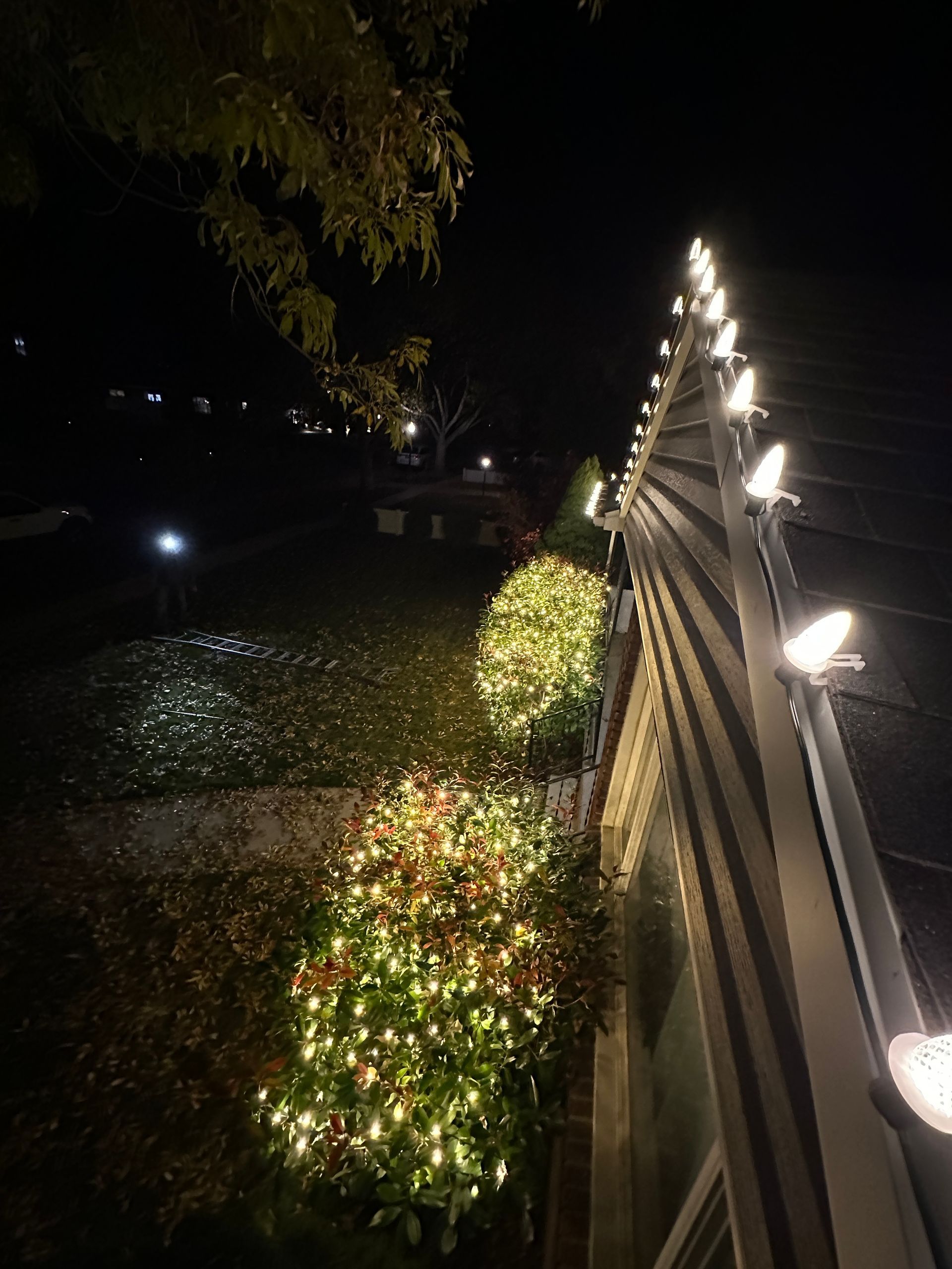 Night scene: Building facade with string lights, illuminated bushes along a slope, and streetlights.
