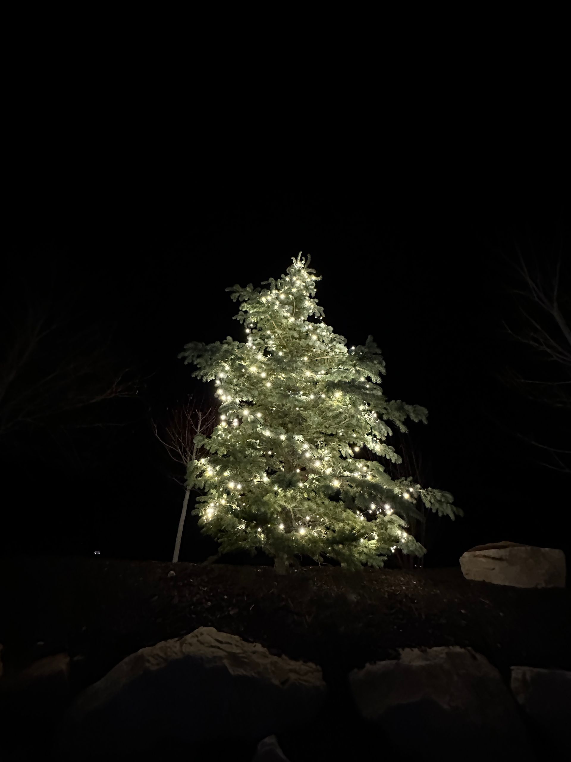 A house is lit up with christmas lights at night
