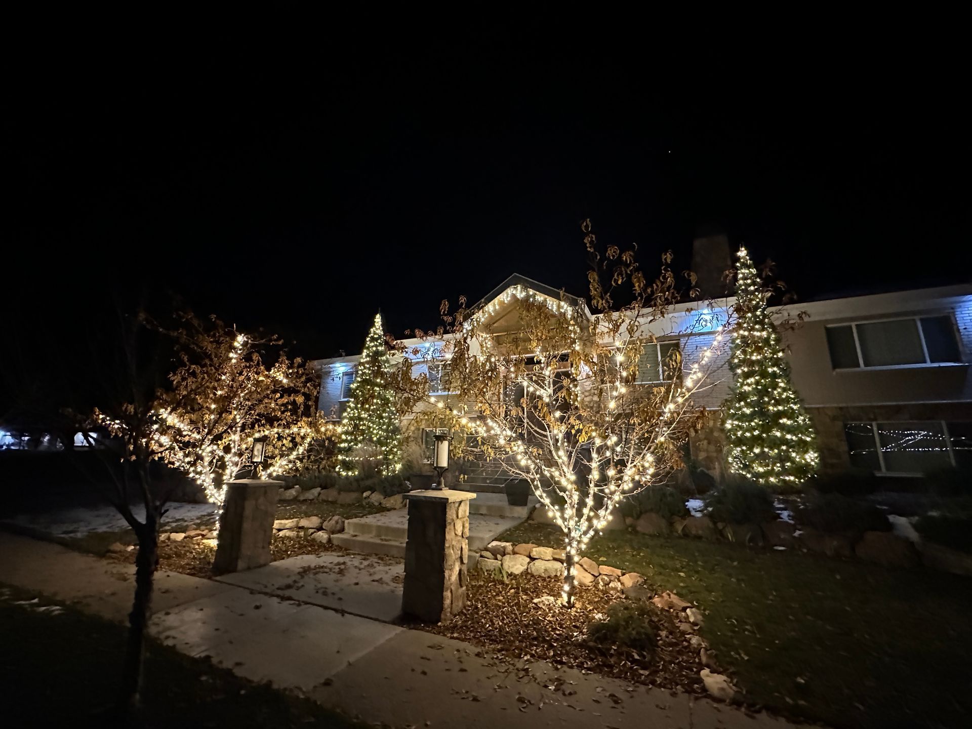 A house at night decorated with white Christmas lights on trees and along the roof.