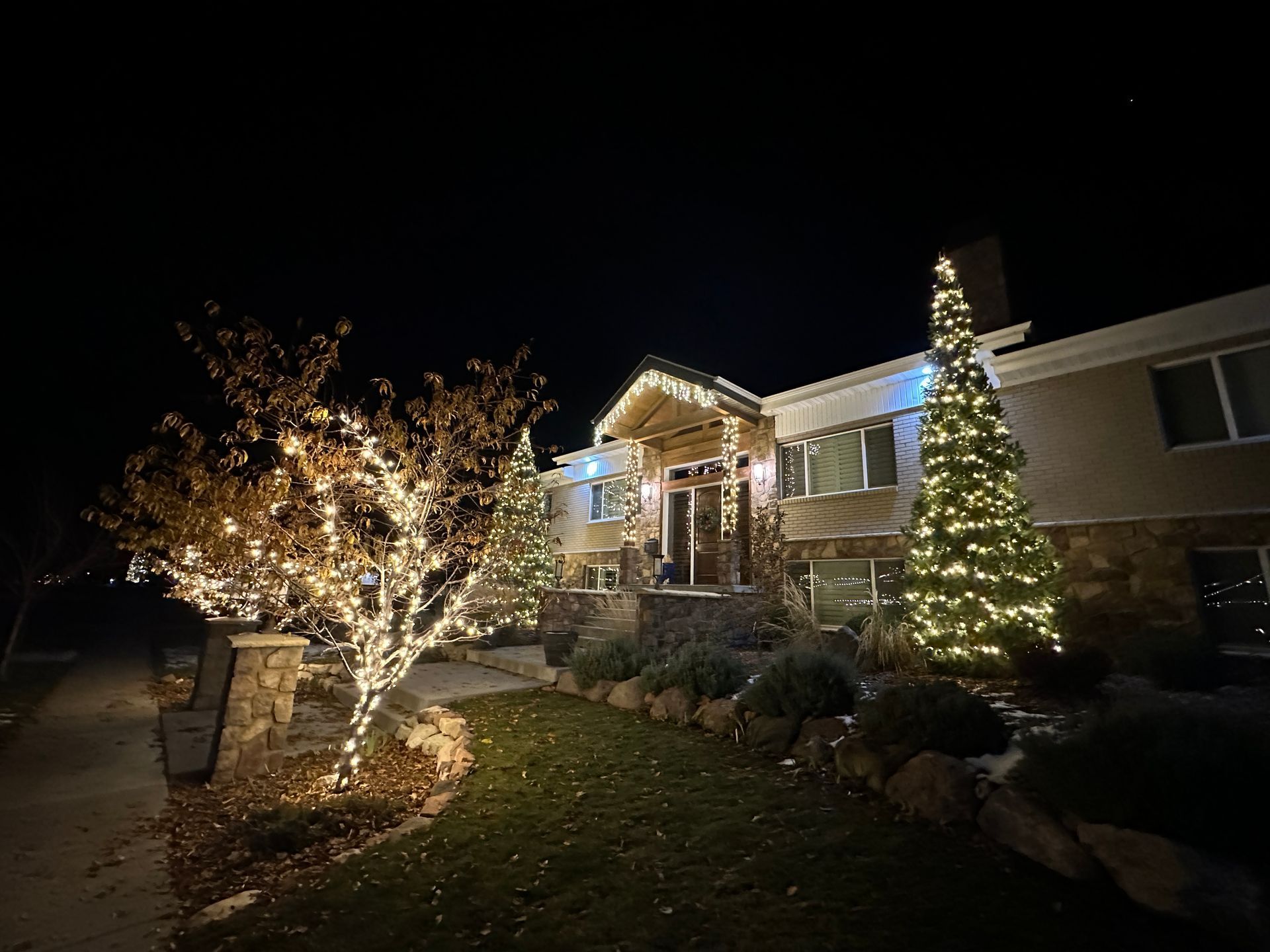 A house is decorated with christmas lights and trees at night.