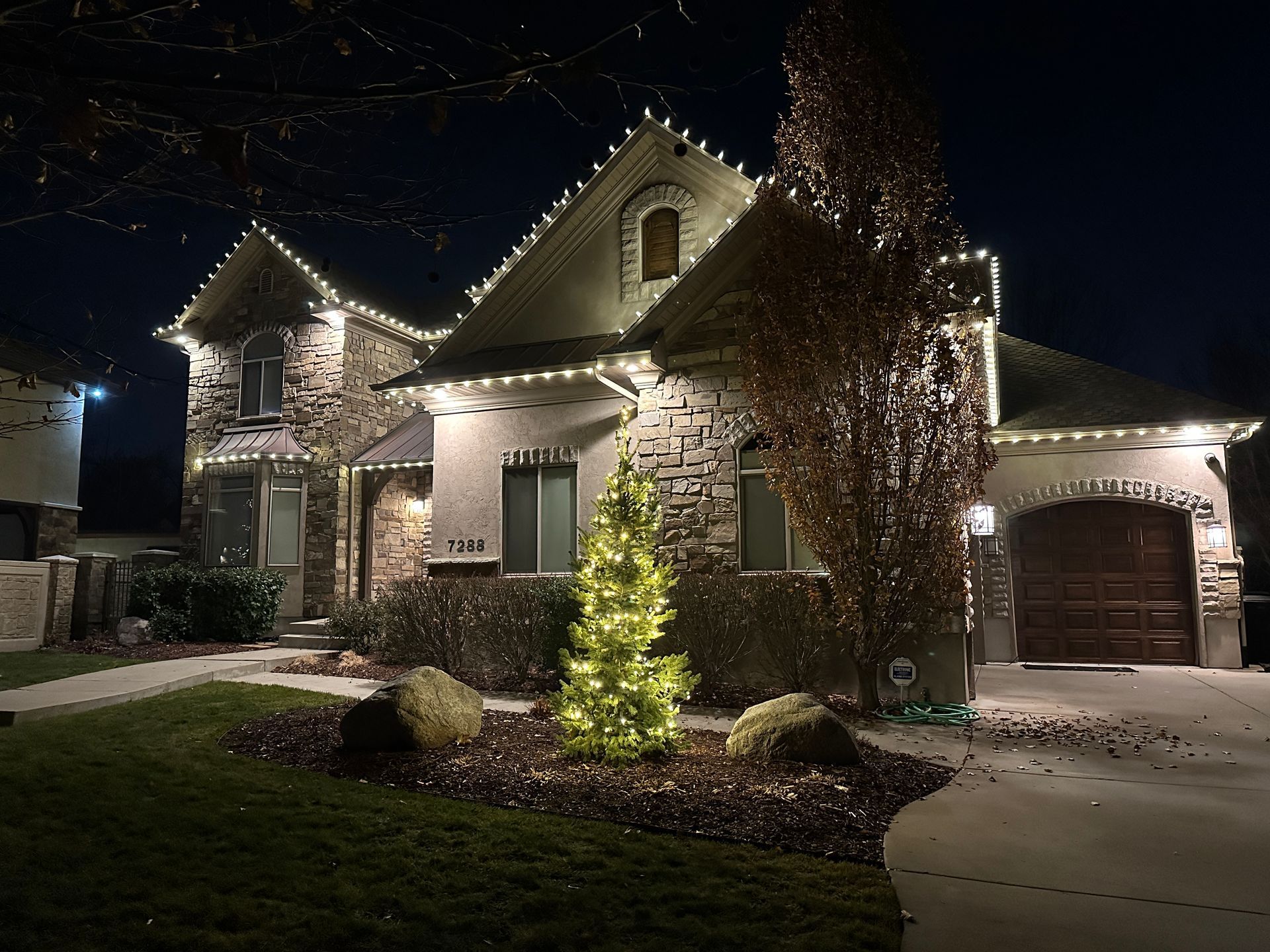 House at night with Christmas lights along the roof and a tree in the yard.