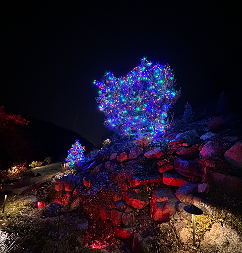 A tree covered in christmas lights is sitting on top of a rocky hill.