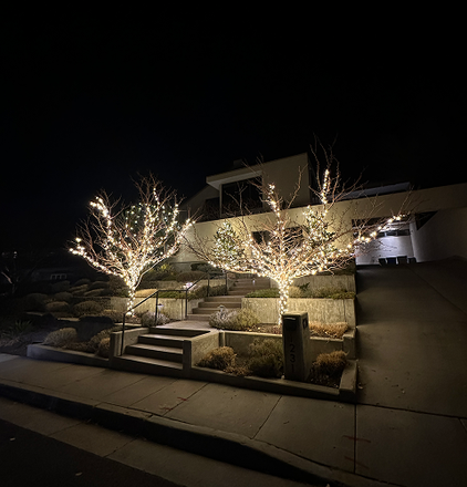 Two trees are lit up with christmas lights in front of a house at night.