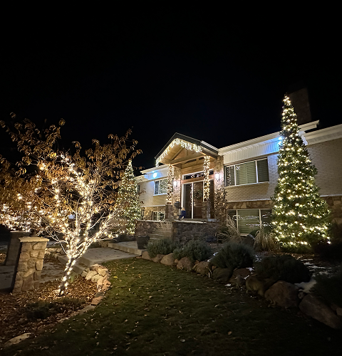A house is decorated with christmas lights and trees at night.