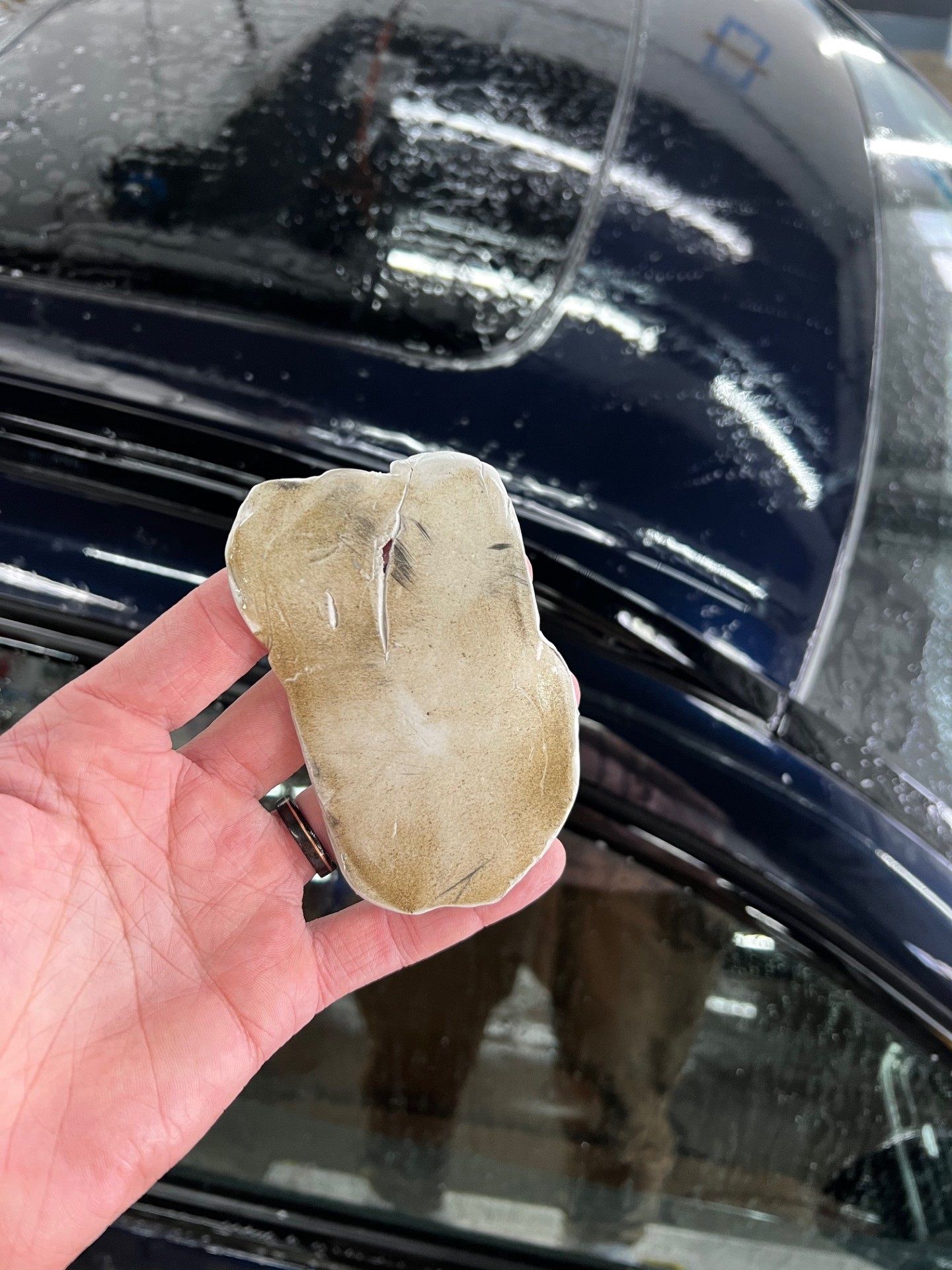 Smooth, glossy vehicle paint after professional clay bar treatment, removing bonded contaminants.