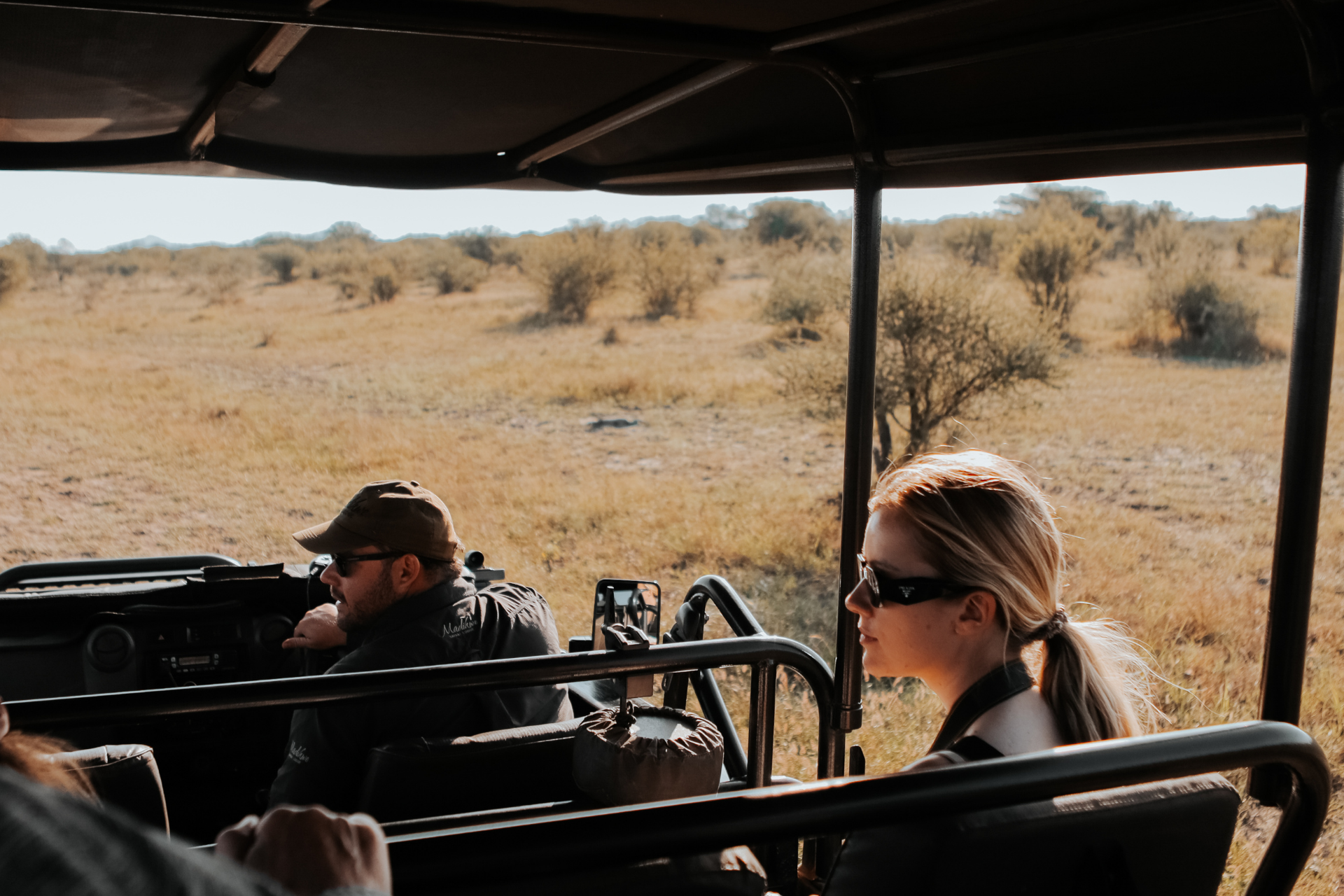 People on safari in an open vehicle, observing the savanna.