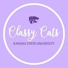 Classy Cats logo: purple circle with white outline. Text 