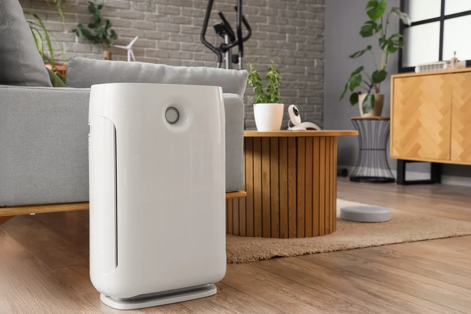 A white air purifier stands on a hardwood floor in a modern, plant-filled living room next to a grey sofa and wood table.